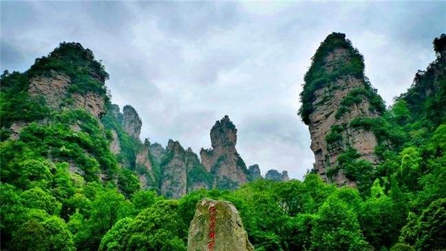 要關注了！湖南這6個國家森林公園總體規劃獲國家批複
