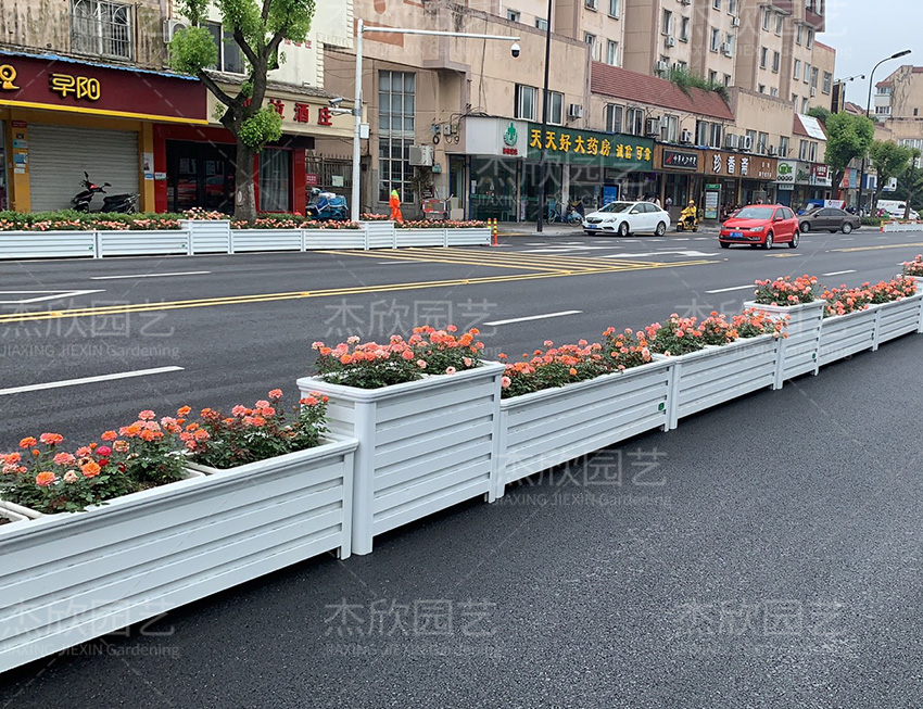 傑欣園藝參與海甯城市道路綠化提升工程